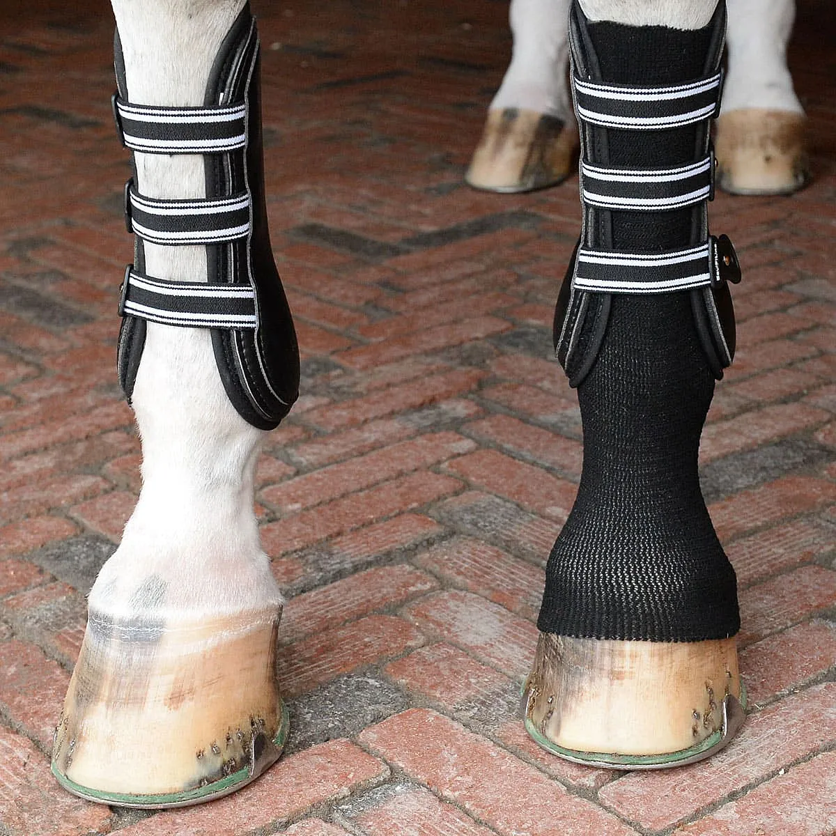 EquiFit GelSox for Horses
