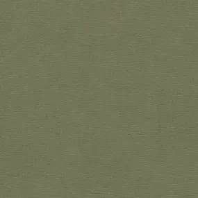 Outback Canvas - Olive $16.99 / Yard